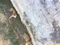 -泉城欧乐堡梦幻世界