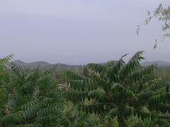 -荆轲塔