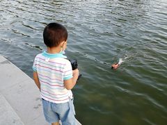 -大兴滨河森林公园