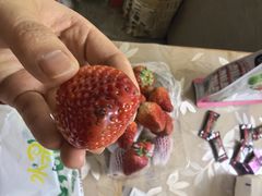 -水果地带(中航国际店)