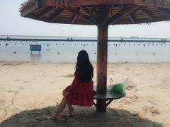 -碧海金沙