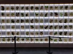 -广东中医药博物馆