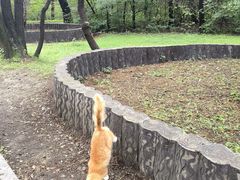 -北陵公园