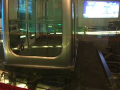 -东方明珠国际旅行社有限公司