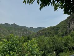 -幽岚山·童话森林