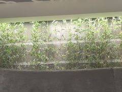 -乌鲁木齐环球国际大酒店