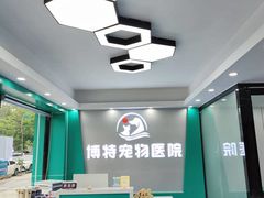 -博特宠物医院24h犬猫全科.骨科·异宠