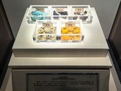 -南越王博物院(王宫展区)