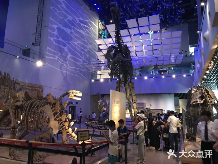 广东省博物馆景点图片