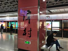 -潭村(地铁站)