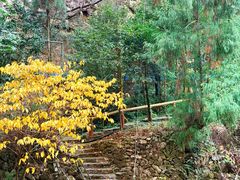-雁荡山风景名胜区