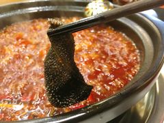 鲜毛肚-大院小院传统火锅·小酒馆(北城天街店)
