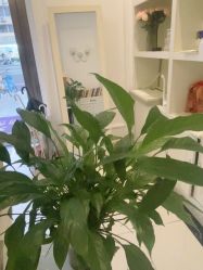 -香秀空间科技抗衰·美容中心