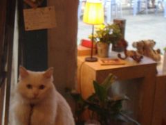 -Babycat私家御饼屋(龙头路一店)