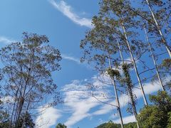 -广州白江湖森林公园