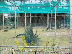 -新安江山水画廊风景区