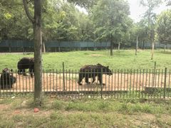 -秦皇岛野生动物园