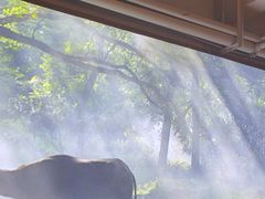 -李掌柜鲜菜火锅(移民广场店)