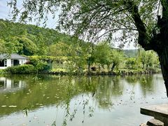 -龙寺生态园