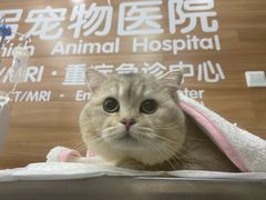 -爱侣宠医·鹦鹉专科·小型哺乳类·异宠专科(灵石路店)