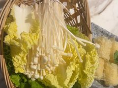 -同仁四季椰子鸡(福田东园总店)