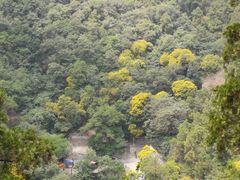 -北京上方山国家森林公园