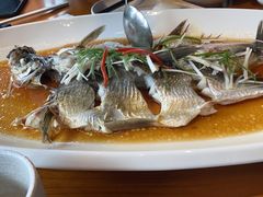 -丹江渔村(望京店)