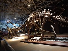 -世界恐龙谷景区