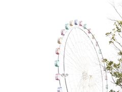 -洋湖国家湿地公园