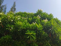 -那琴半岛地质海洋公园