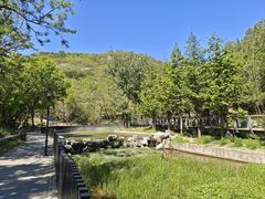 -白水寺森林公园