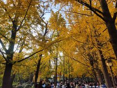 -八大关景区