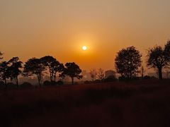 -汉长安城未央宫国家考古遗址公园