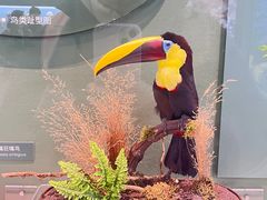 -国家自然博物馆