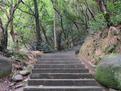 -火炉山森林公园
