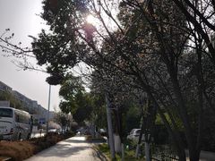 -堤角公园