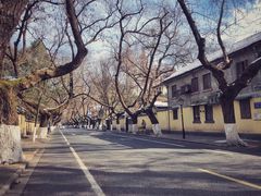 -颐和路民国时期公馆风貌区