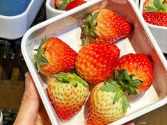 -北京海德酒店温泉