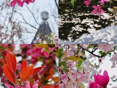-莫愁湖公园