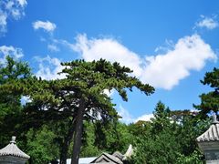 -阳台山自然风景区