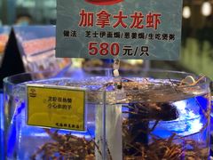 -新海渔港·胶东海鲜家常菜·家宴(奥体中心店)