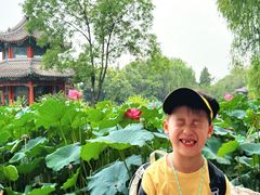 -莲池书院博物馆