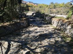 -阳台山自然风景区