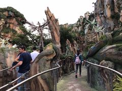 -奥兰多迪士尼动物王国乐园