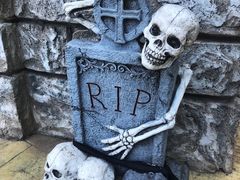 -蓬莱欧乐堡梦幻世界