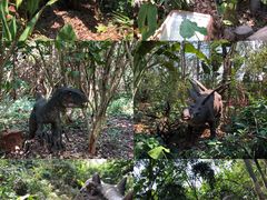 -海南热带野生动植物园