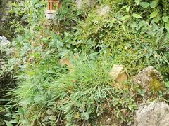 -瑞博尔花园酒店(太周创新产业园店)