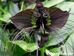 -野三坡清泉山风景区
