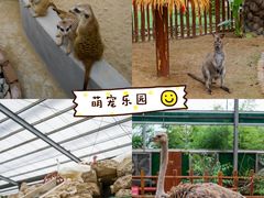 -呀路古热带植物园