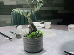 -广东道至正餐厅(区庄店)